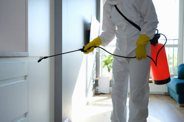 Best Emergency Mold Removal  in Lisbon, IA