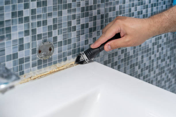 Best Mold Cleaning Services  in Lisbon, IA