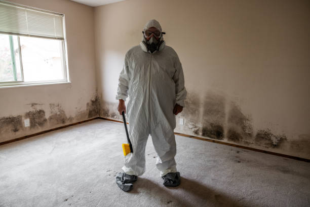 Best Local Mold Removal Service  in Lisbon, IA